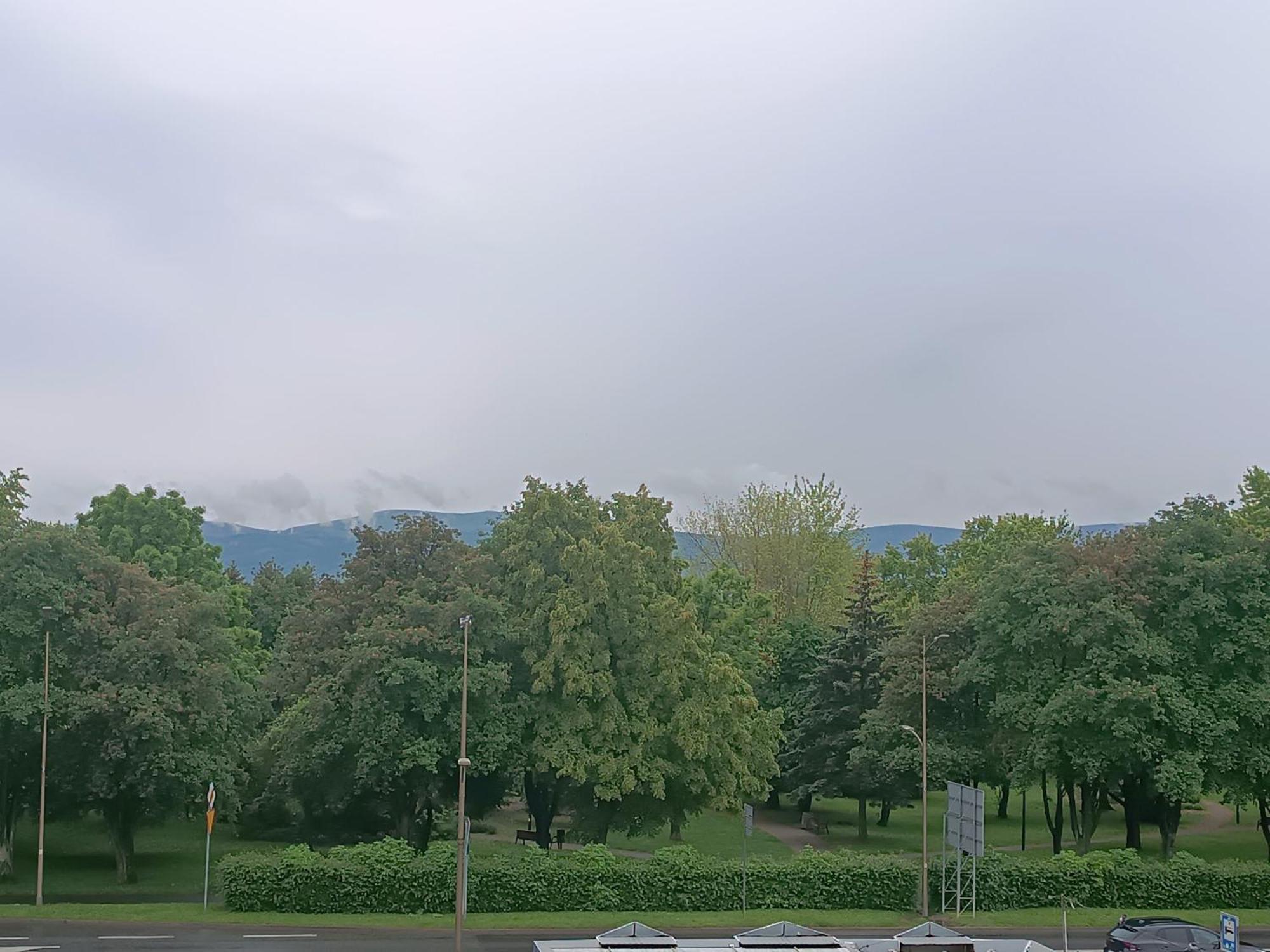 Zlote Apartment *